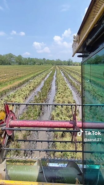 Mesin Padi 8080: Your Ultimate Guide to Paddy Machines