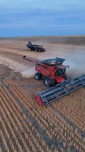 ASÍ SE COSECHA LA SOYA: TECNOLOGÍA Y EFICIENCIA La soya, clave en alimentos y biocombustibles, se cosecha con máquinas avanzadas que cortan, trillan y limpian en un solo paso. Un proceso preciso que minimiza pérdidas y maximiza rendimientos. #CosechaDeSoya #AgriculturaSostenible #TecnologíaAgrícola #ProducciónDeSoya #CultivoDeGranos #Biocombustibles #AlimentosSostenibles #RendimientoAgrícola #InnovaciónEnElCampo #AceiteDeSoya | Agropecuaria TV