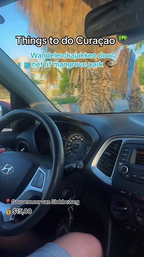 Ontspan in het Rif Mangrove Park van Curaçao