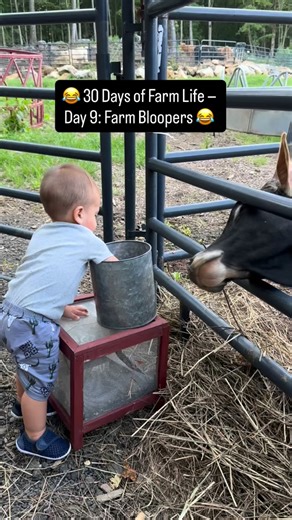 37 reactions · 5 comments |  30 Days of Farm Life — Day 9: Farm...