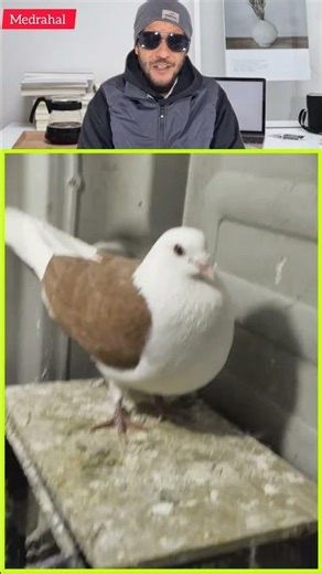 Turn your washing machine into a fun bath jumper 🛁🐥💡 #Recycling #BathJump #WashingMachine #HomeDecor