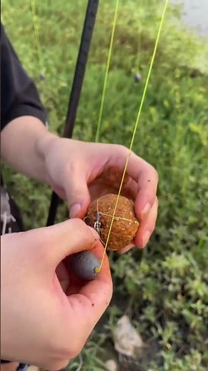 Câu cá chép câu boom lăng xê sông tự nhiên 🎣🔥#23 #fishing #fishingvideo #shorts