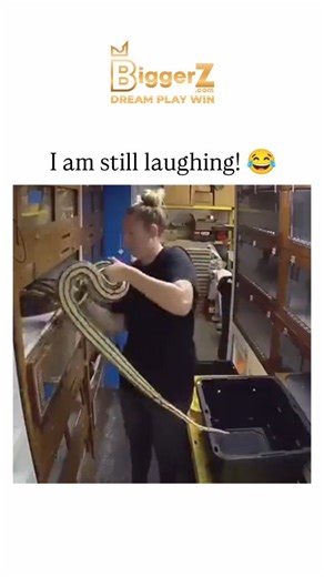 UNIVERSAL KNOWLEDGE | #biggerz The Instagram reel features a reposted 2023 TikTok video of a woman in a pet store startled by a snake, reacting by flipping it... | Instagram