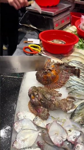 Dangerous Stone Fish Found at Fish Market 😳 | Most Venomous Fish in the World