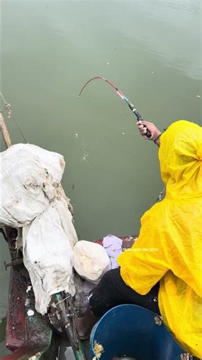 Old man’s traditional hook fishing technique never fails!