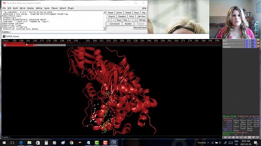 Pymol蛋白结构比对#2 (Pymol alignment)