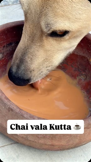 Jai Arora on Instagram: "Aap konsi Team mein ho ?🤤☕️ Perfect for you if: You get busy on calls, reels, or work while chai is boiling. Your chai overflows the moment you look away. You want the same taste every single time. You want chai ready while you chill with family. How it works: Add water + tea leaves + sugar. Press ON. Add milk in the top container. It boils, mixes milk automatically, boils again, and finishes the chai. Time taken: 7 to 8 minutes. After that it goes into Keep Warm