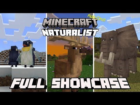 Naturalist Add-On Full Showcase (ALL ANIMALS) | Minecraft Bedrock Marketplace (PC, PS4, Mobile)