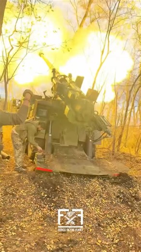 "Caesar" is always in action - even when you can't see it. Via: @148_guns | Swedish Army Veteran