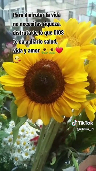 Recuerdos y Antología de Elvira