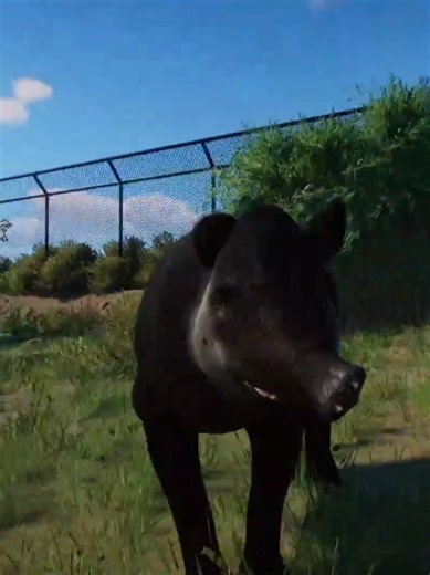 Explore the New Bairds Tapir Enclosure at Pinewood Zoo