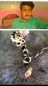 36K reactions · 131 shares | #viralchallengeeralreels #veralreelchanling #veralreel25 #024readingchallenge #veralreels #trendingreel #reelschallenge #veralpost #trading #treanding | Istilsh King | Facebook