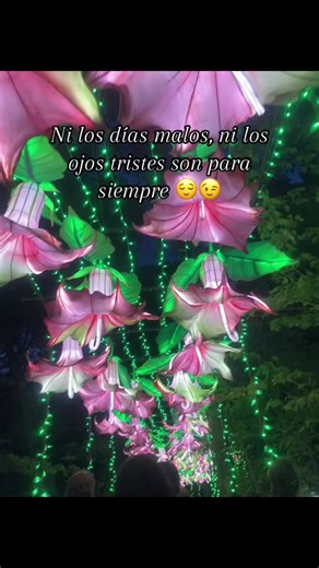 #todoestemporal🌻💜