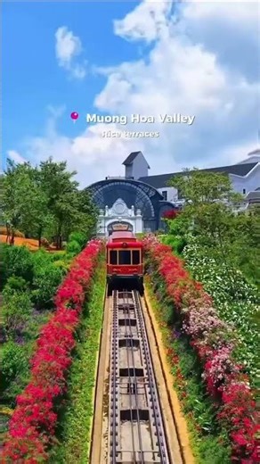 5 Must‑Visit Places in Sapa Vietnam 🇻🇳 | Fansipan, Rice Terraces & Sky Bridge