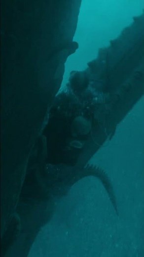 Official Teaser Trailer WHALEFALL!
