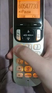 rejection hotline number