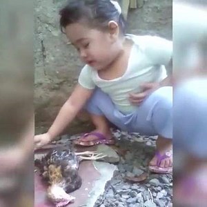 2.3K views · 77 reactions | she cry because chicken die :( | 홈홚̂ 홗홖홗홮 | Facebook