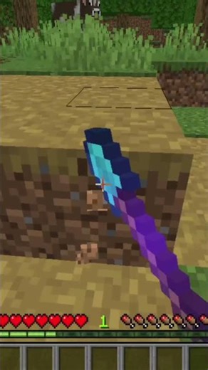 JAVA VS PE FACTS | MINECRAFT