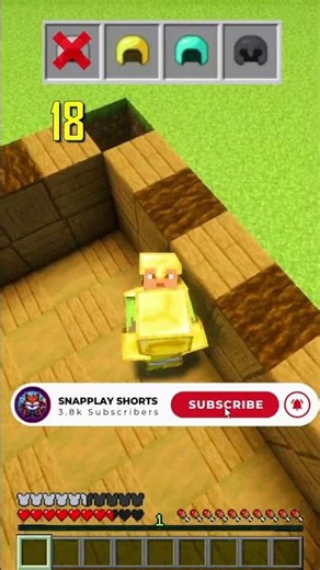 Minecraft Armour Test ⚔️ | Zombie Villager vs Armour Sets #shorts #minecraft