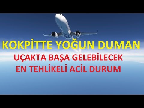 [MSFS 2020] | FBW A32NX | Sharm El Sheikh - Jeddah