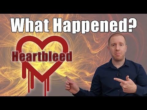 Heartbleed - What Happened? A Bug That Nearly Broke the Internet