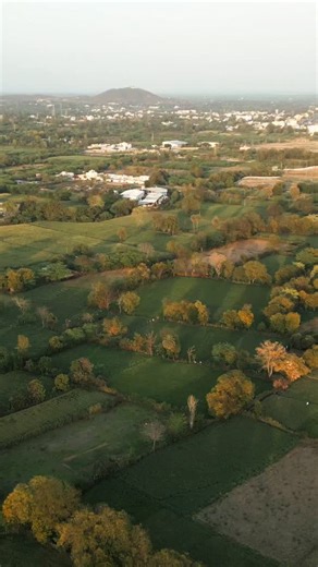 12K reactions · 229 shares | If the land you relied on stopped supporting you, what would you do? Puran Singh faced failing crops, dry soil, and unpredictable rains. Still, instead of giving up, he found a way to fight back, and the results are changing thousands of farmers’ lives. Watch the full story to see how determination, innovation, and resilience can transform farming from the ground up. #Agriculture #Farming #FasalAmrit | Gates Foundation India | Facebook