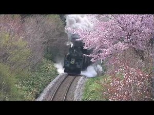 I love vehicles! High-definition New SL Special 100 PHVD-104