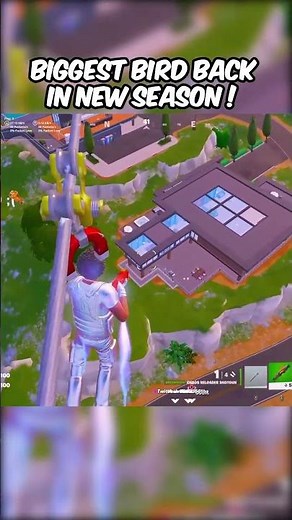 BIGGEST BIRD IN NEW SEASON!