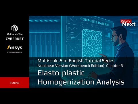 Multiscale.Sim English Tutorial - Nonlinear: Chapter3