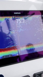 Local Knowledge S10:E6 “Chasing Summer Bites in San Diego” is Available Now on YouTube, Waypoint TV & Streaming apps | Local Knowledge