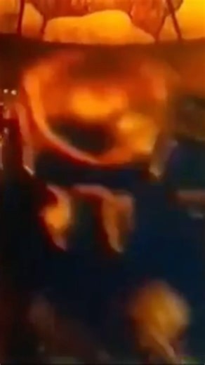 PREDATOR 2 THE LOST TRIBE #predator #predatorlore #yautja #predators #predatorbadlands #dance #funny