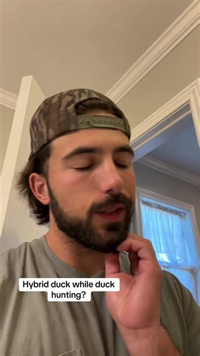 Understanding Hybrid Ducks in Duck Hunting