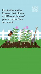 6.6K views · 296 reactions | WATCH: These eye-catching orange and...