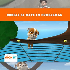 805K views · 11K reactions | A Rubble se le atoró el balón en el árbol... ¡Y no quiere caer al agua fría! ⚽ Ryder y los #PawPatrol se preparan para salvarlo. | Nickelodeon Familia Español | Facebook