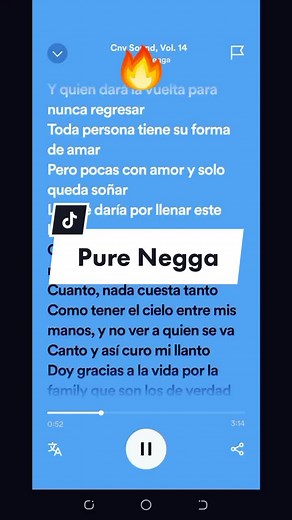 Pure Negga CNV Sound Vol. 14 Lyrics English