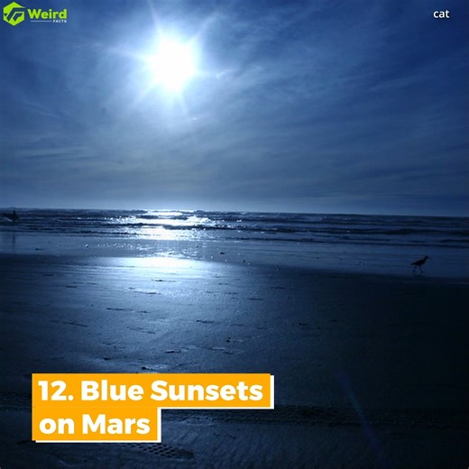 27K views · 359 reactions | 15 Astonishing Space Facts That Will Blow Your Mind | Weird Facts | Facebook