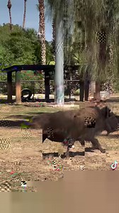 3K views · 197 reactions | Have you visited our gift shops lately? If...