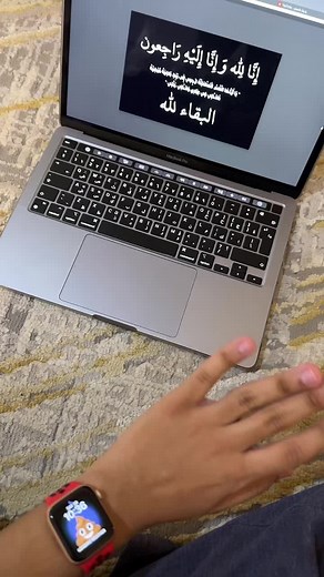 Exploring Turtle Anatomy Through Arabic Illustrations