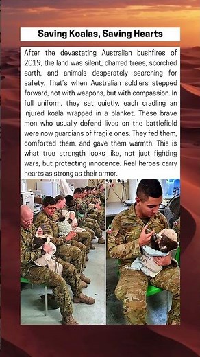 Saving Koalas, Saving Hearts