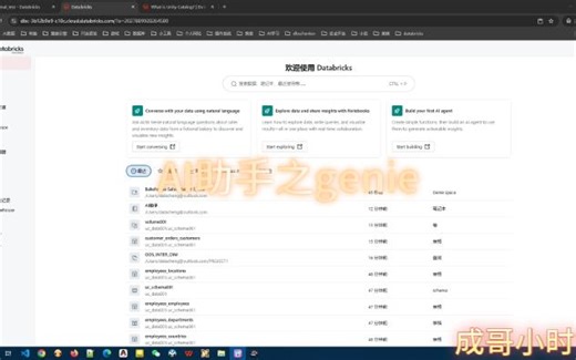 07databricksAI助手之Genie