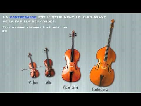 Les instruments à cordes frottées