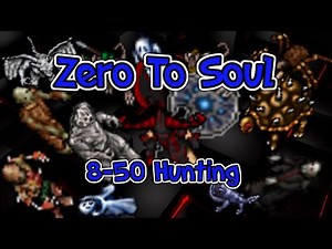 Zero to Soul - 8-50 Hunting spots