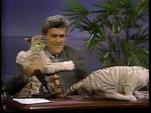 Siegfried and Roy on Tonight Show