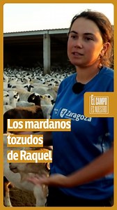 115K views · 3.2K reactions | No es por malmeter, pero los animales se parecen a sus humanos #elcampoATV | El campo es nuestro Aragón TV | Facebook