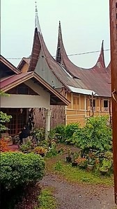 the sound of rain calms the mind 🌧 #nature #asmr #relaxing