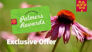 Palmers - Palmers Rewards Exclusive offer!! Rewards...