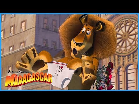The Most Famous Lion in NYC 🗽🦁 | DreamWorks Madagascar