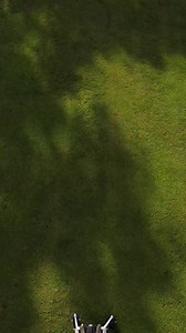 3.9K views · 79 reactions | Three great ways to save on a new Bobcat zero turn mower. Choose 0% for 60 months* or up to $1,000 USD* in rebates or get a free BOSS-Vac Collection System* on select models. | Bobcat Company | Facebook