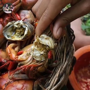 19K views · 252 reactions | In forest, Catching Crabs and Cooking for lunch Part 10 | Jungle Food TV | Facebook