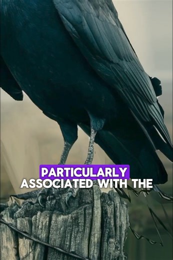 Discover the mystery of Yatagarasu, the three-legged crow from Japanese folklore! 🌞🦅 Known as a divine messenger and guide, Yatagarasu symbolizes wisdom, protection, and the connection between heaven, earth, and humanity. Dive into the ancient tales of Emperor Jimmu's journey and see how this mythical bird continues to inspire and captivate Japanese culture today. #Yatagarasu #JapaneseFolklore #Mythology #DivineMessenger #CulturalHeritage | Myths & Legends
